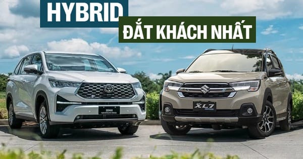 avatar1741836180241 17418361808651366835523